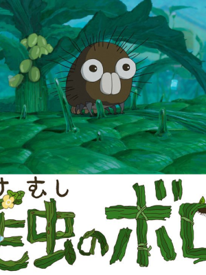 l'affiche de Boro la petite chenille